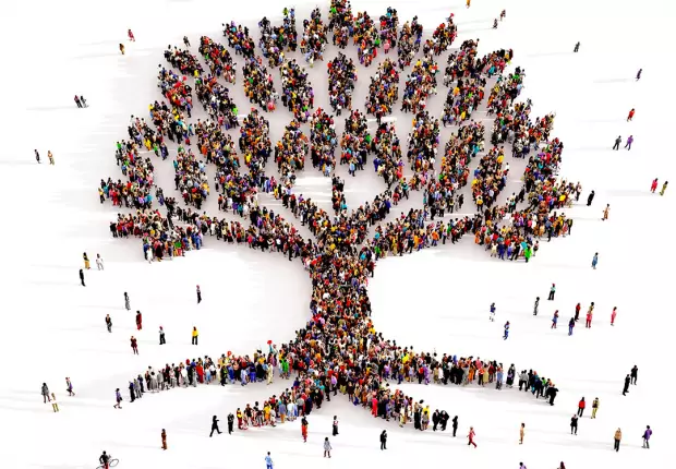 Comment utiliser un g&eacute;nogramme en coaching ?