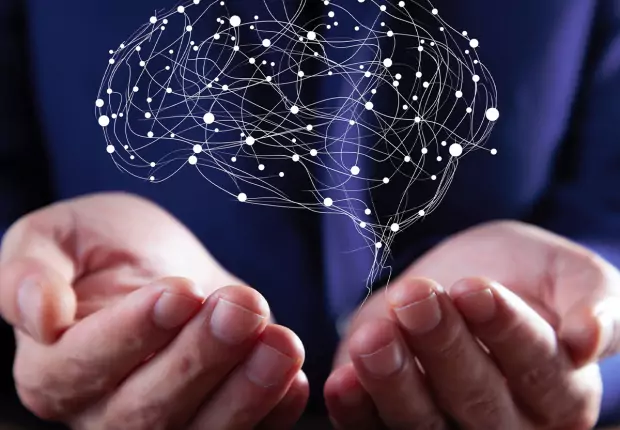 Le processus d&eacute;cisionnel &eacute;clair&eacute; par les neurosciences