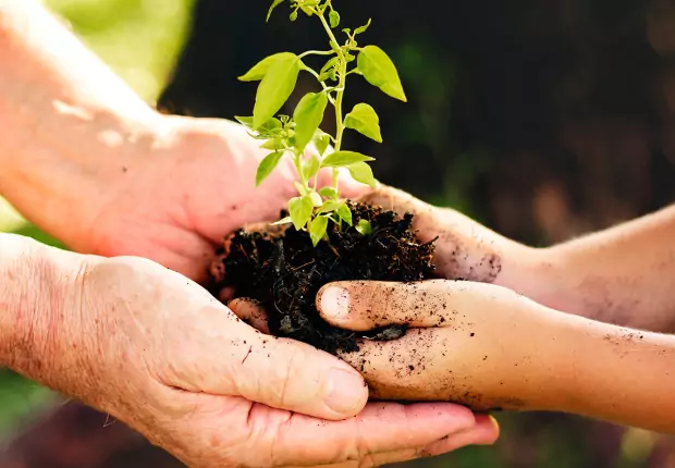 Qu'est-ce que la psychog&eacute;n&eacute;alogie ?